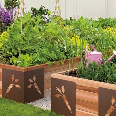 Живописные изгороди для грядок ❀ ТОП-5 крутых идей ❀