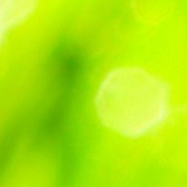 6 ошибок ухода за капризной азалией, которые приводят к ее гибели