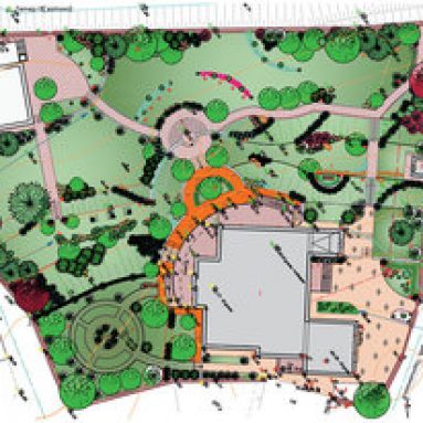 Особенности и правила составления дендроплана для вашего участка