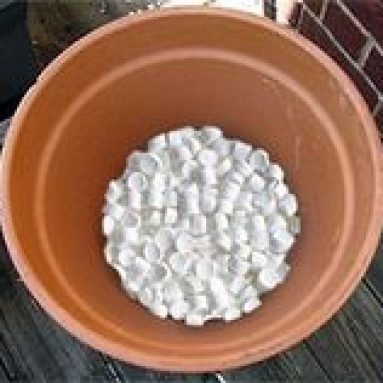 6 материалов для дренажа цветов, которые помогут убрать из горшков лишнюю влагу