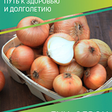 Черноплодная рябина: лечебные свойства и противопоказания к применению аронии