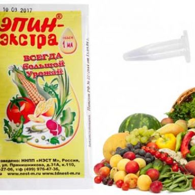 Инструкция по применению эпина экстра для выращивания рассады