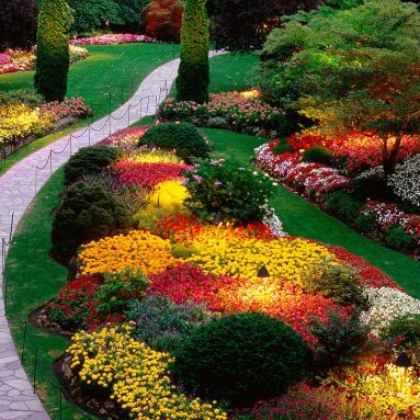 Создаем клумбу беспрерывного цветения