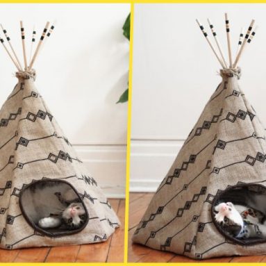 ТОП-8 креативных идей для создания кошачьего домика