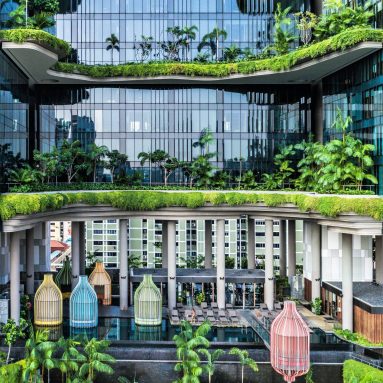 Рай на Земле: чем подкупает пятизвездочный отель в Сингапуре Parkroyal
