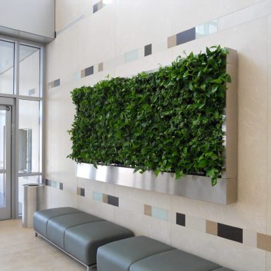 Натуральный растительный декор в интерьере