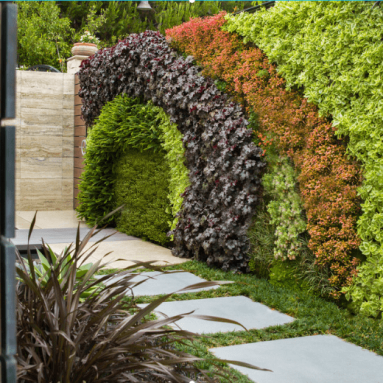 Ландшафтный дизайн дачного участка: 10 Супер Идеи