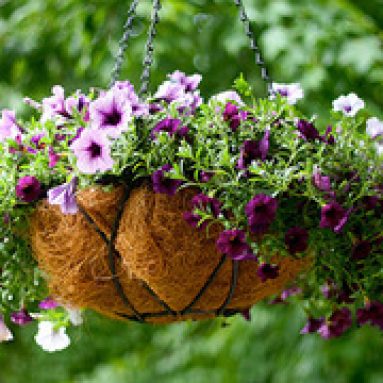 Красивые горшки для цветов своими руками