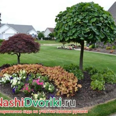 Зеленые помощники — какие цветы изживут сорняки на клумбе