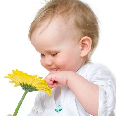 13 победителей в номинации лучшее детское растение