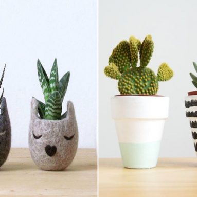 ТОП-10 роскошных растений для квартиры, в которой мало солнечного света