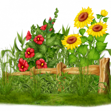 Лунный календарь цветовода на август 2020: лучшие даты для заботы о цветах