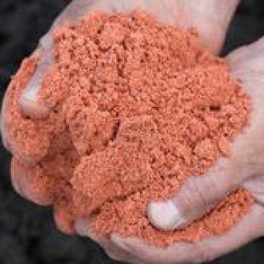 Калийные удобрения и их виды — хлористые и сернокислые