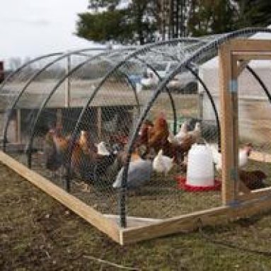 Курятники для кур-несушек своими руками