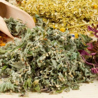 Растения, которые имеют целебный эффект на организм человека