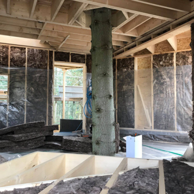 Идеальный домик на дереве Lovtag — экологичность и комфорт