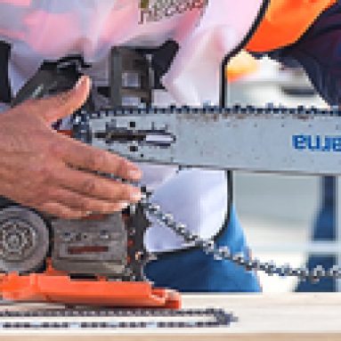 Какую марку бензопилы выбрать