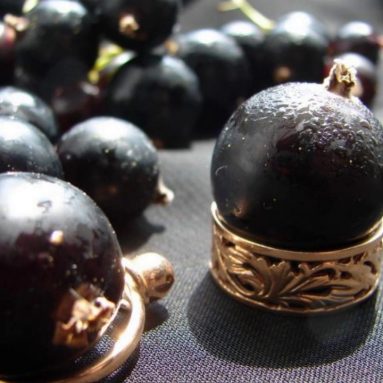 Смуглая царица сада: самые крупные сорта смородины