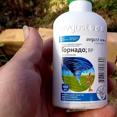 Бесконечная война… Боремся с сорняками при помощи новейших средств!