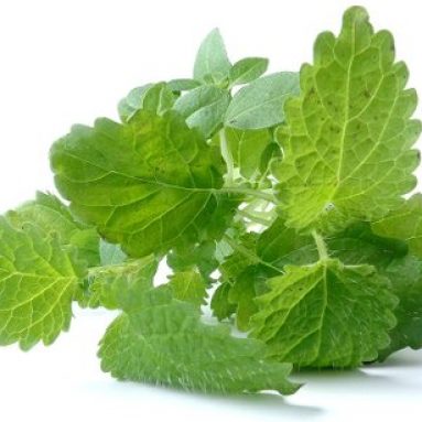 Простая трава для улучшения пищеварения: налаживаем работу ЖКТ!