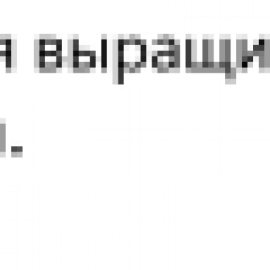 Стапелия: строптивая, но такая яркая африканка на вашем подоконнике