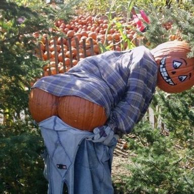 Огородный креатив: 20 веселых пугало