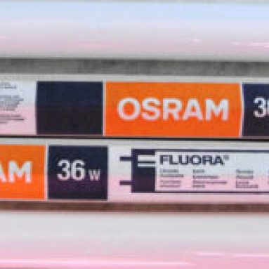 Как выбрать лампы дневного света для комнатных растений