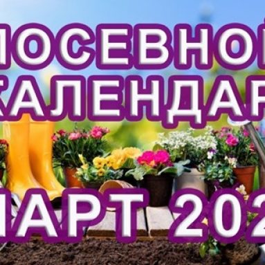 Лунный календарь садовода и огородника на март 2020
