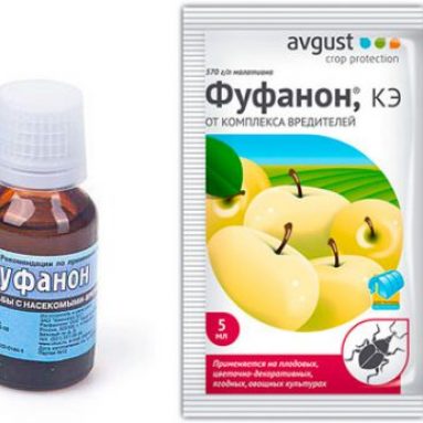 Применение Фуфанона от клопов, инструкция и отзывы о нём