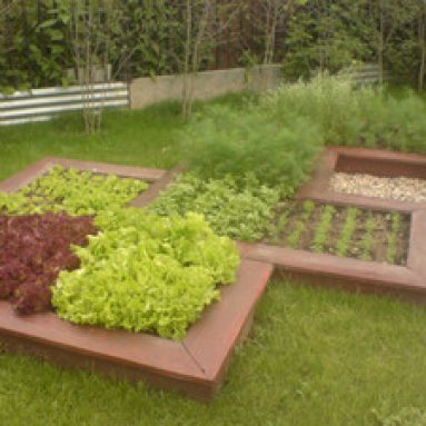 Декоративный огород в ландшафтном дизайне