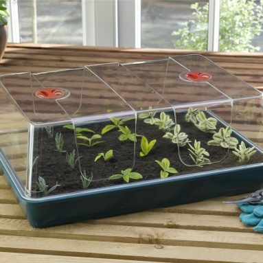 Пропагатор: максимальный результат в минимальный срок