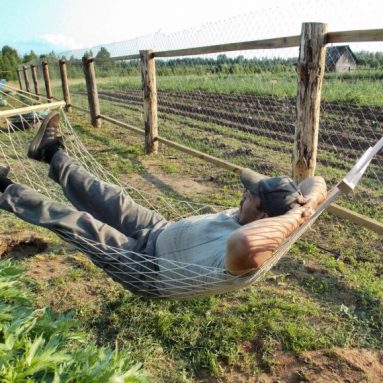 Любимые занятия садовода