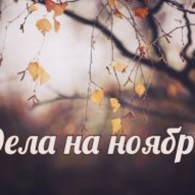 6 вещей, которые нужно не забыть сделать в ноябре на даче