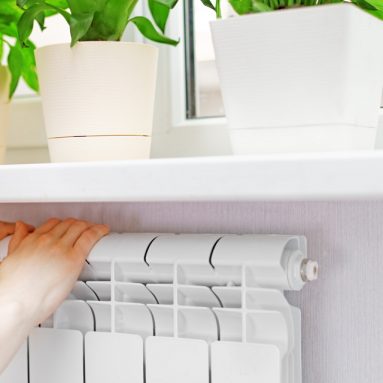 4 легких правила полива домашних растений в отопительный сезон