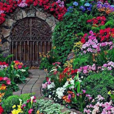 Рейтинг очаровательных многолетних цветов для вашей дачи