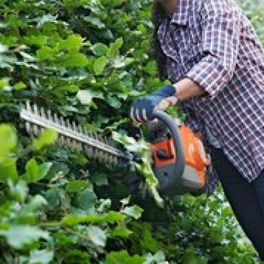 Выбор кустореза для садовых работ