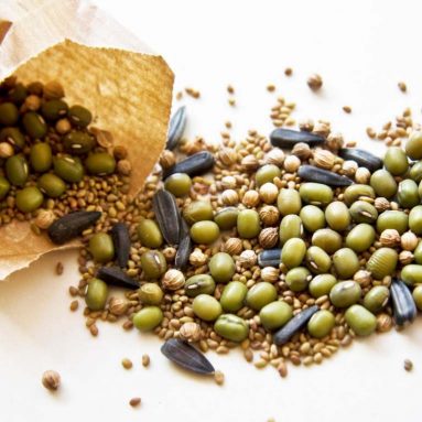 Рейтинг без купюр: 6 производителей семян, которые не подведут