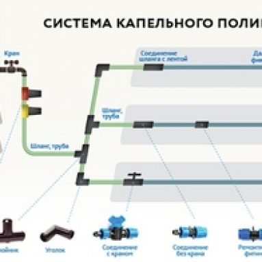 Система автополива своими руками