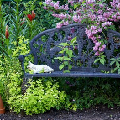 Скамья для сада: красота и функциональность