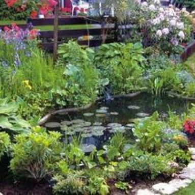 Пруд на даче своими руками