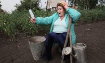Приехали на дачу отдохнуть — Вам штраф! За что можно получить статью?