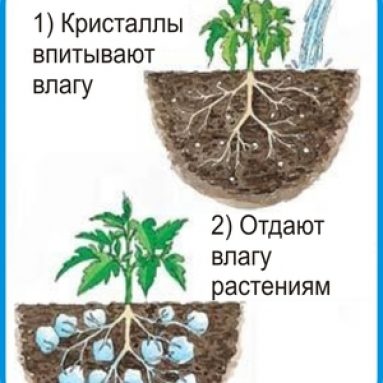 Гидрогель для растений и инструкция по применению