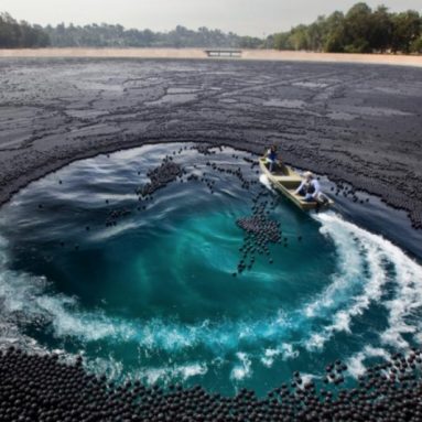 Зачем в Лос-Анджелесе высыпали 96 млн шаров в водохранилище?