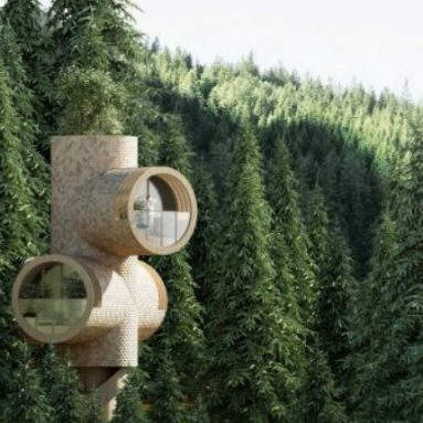 Проект необыкновенного модульного дома «Дупло» [Bert House Криса Прехта]