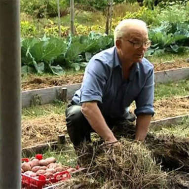 Умный огород Замяткина: этот участок не знает лопаты уже 20 лет!