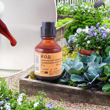 Одна капля йода и вы не узнаете свой огород! (Нет, это не реклама)