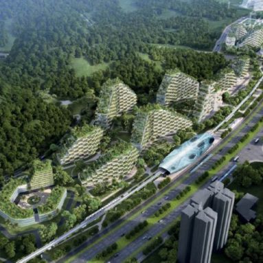 Леса много не бывает! Нереальный лесной мегаполис в Лючжоу [Forest City]