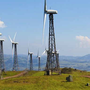 Сильные и независимые от углерода государства: 10 стран, которые уже перешли на зеленую энергию