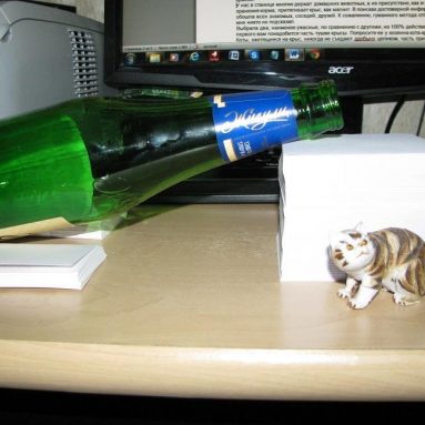 Избавляемся от мышей и крыс гуманно