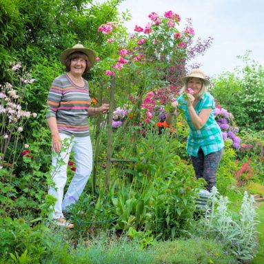 «Ленивый сад» и его обитатели